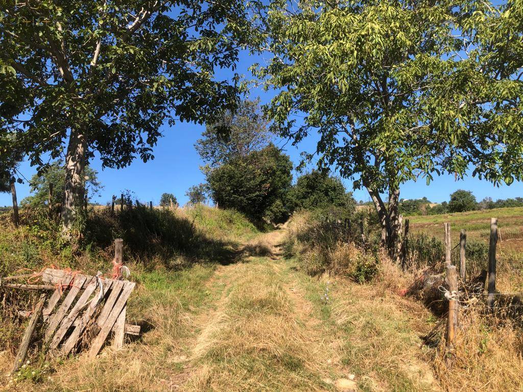 Terreno Agricolo (con / Senza Piccolo Prefabbricato) in vendita a Santa Vittoria in Matenano
