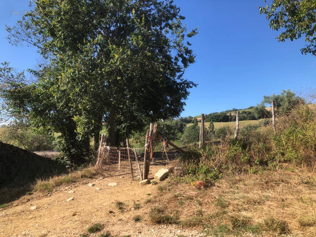Terreno Agricolo (con / Senza Piccolo Prefabbricato) in vendita a Santa Vittoria in Matenano
