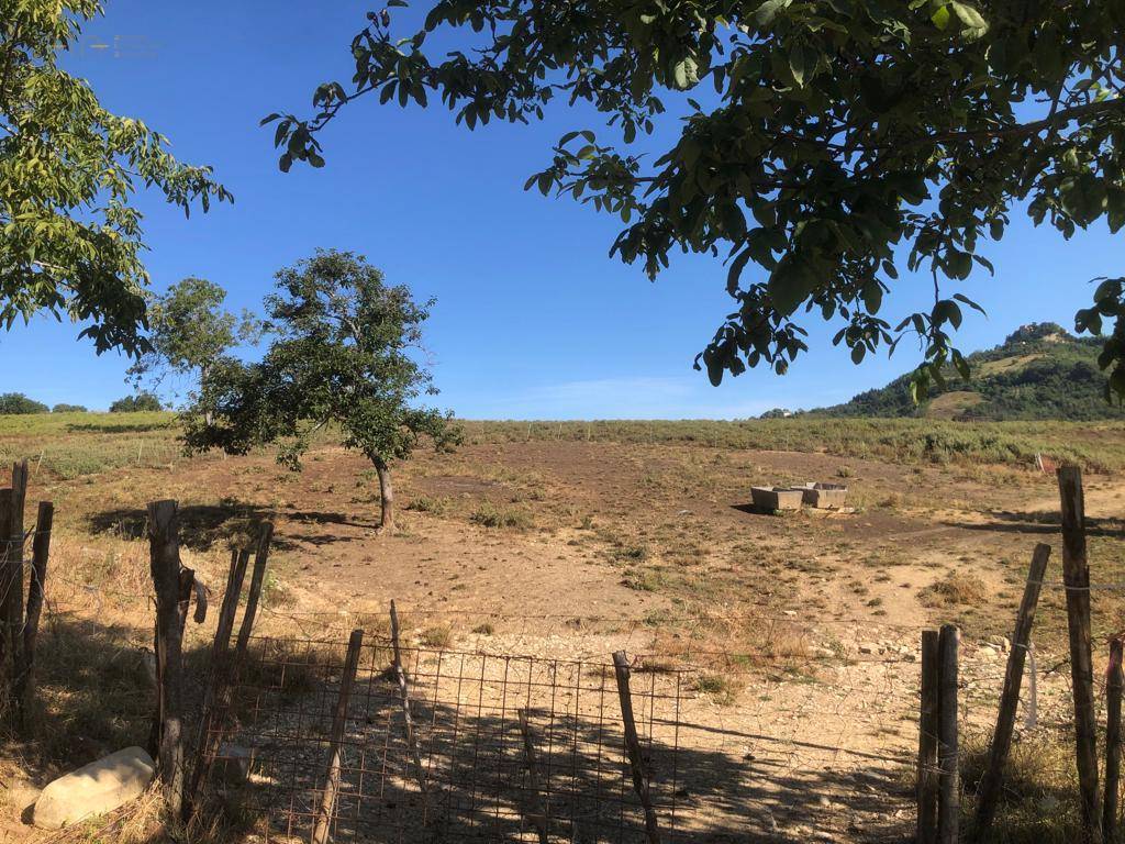 Terreno Agricolo (con / Senza Piccolo Prefabbricato) in vendita a Santa Vittoria in Matenano