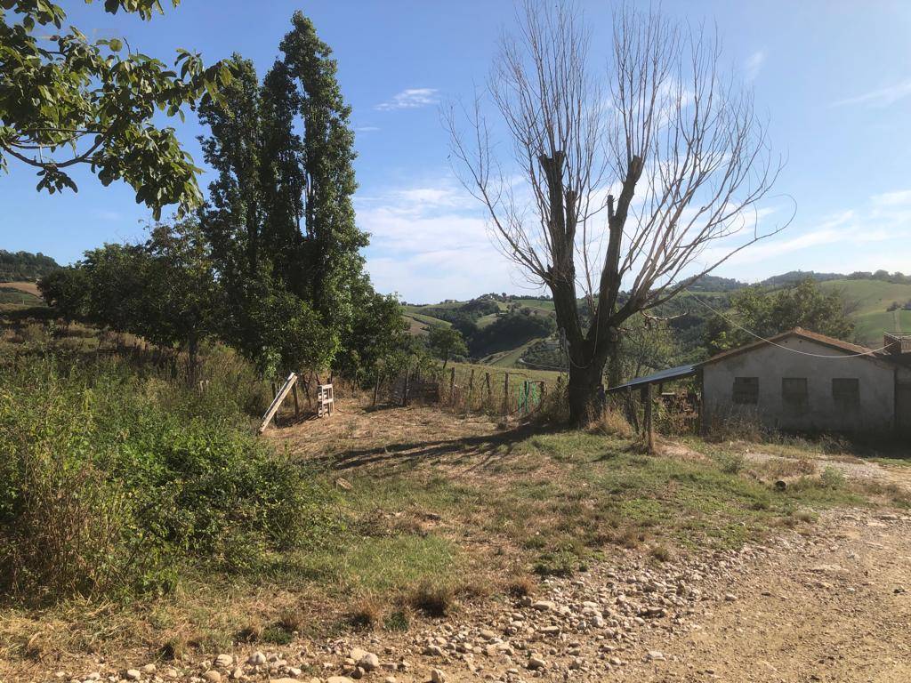 Terreno Agricolo (con / Senza Piccolo Prefabbricato) in vendita a Santa Vittoria in Matenano