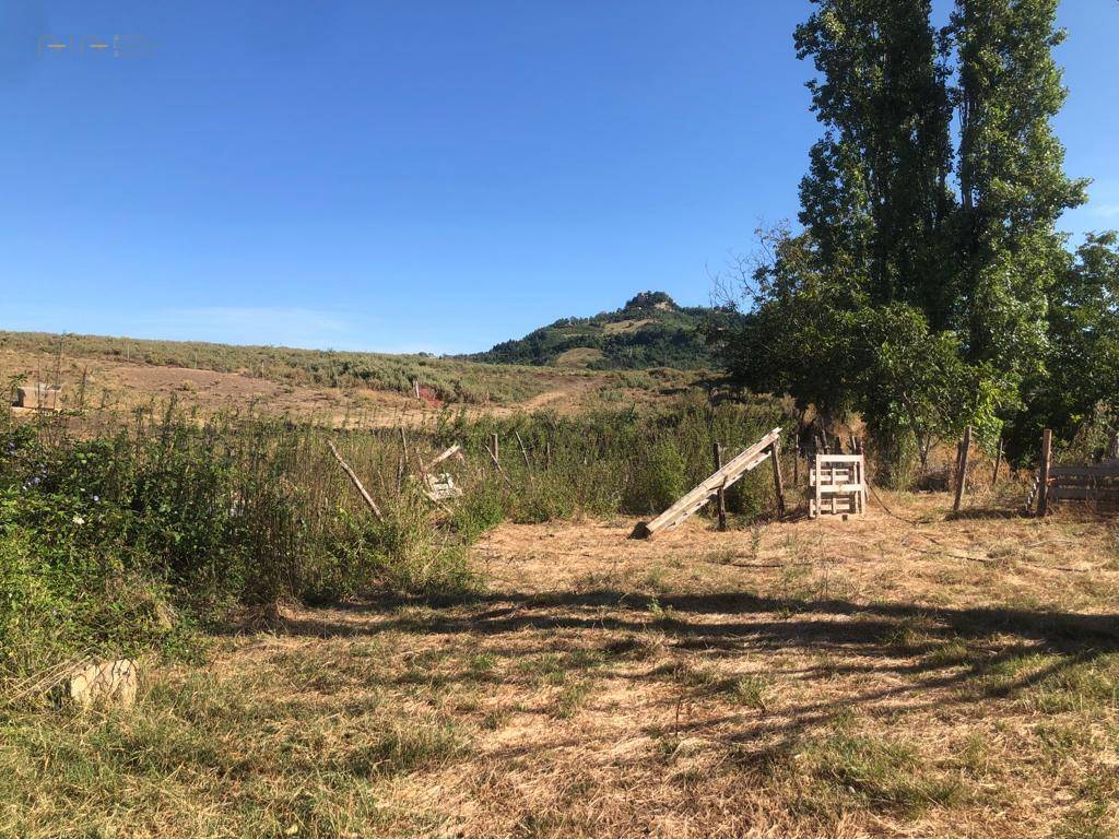 Terreno Agricolo (con / Senza Piccolo Prefabbricato) in vendita a Santa Vittoria in Matenano