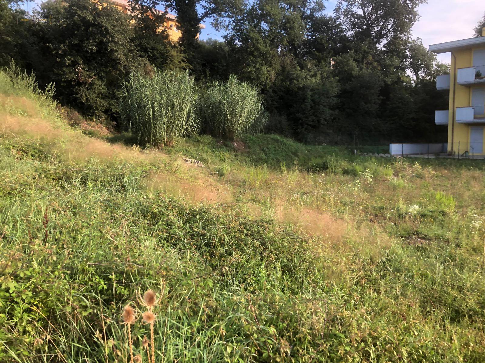 Terreno Edificabile Residenziale in vendita a Comunanza, Centrale / Centro Storico