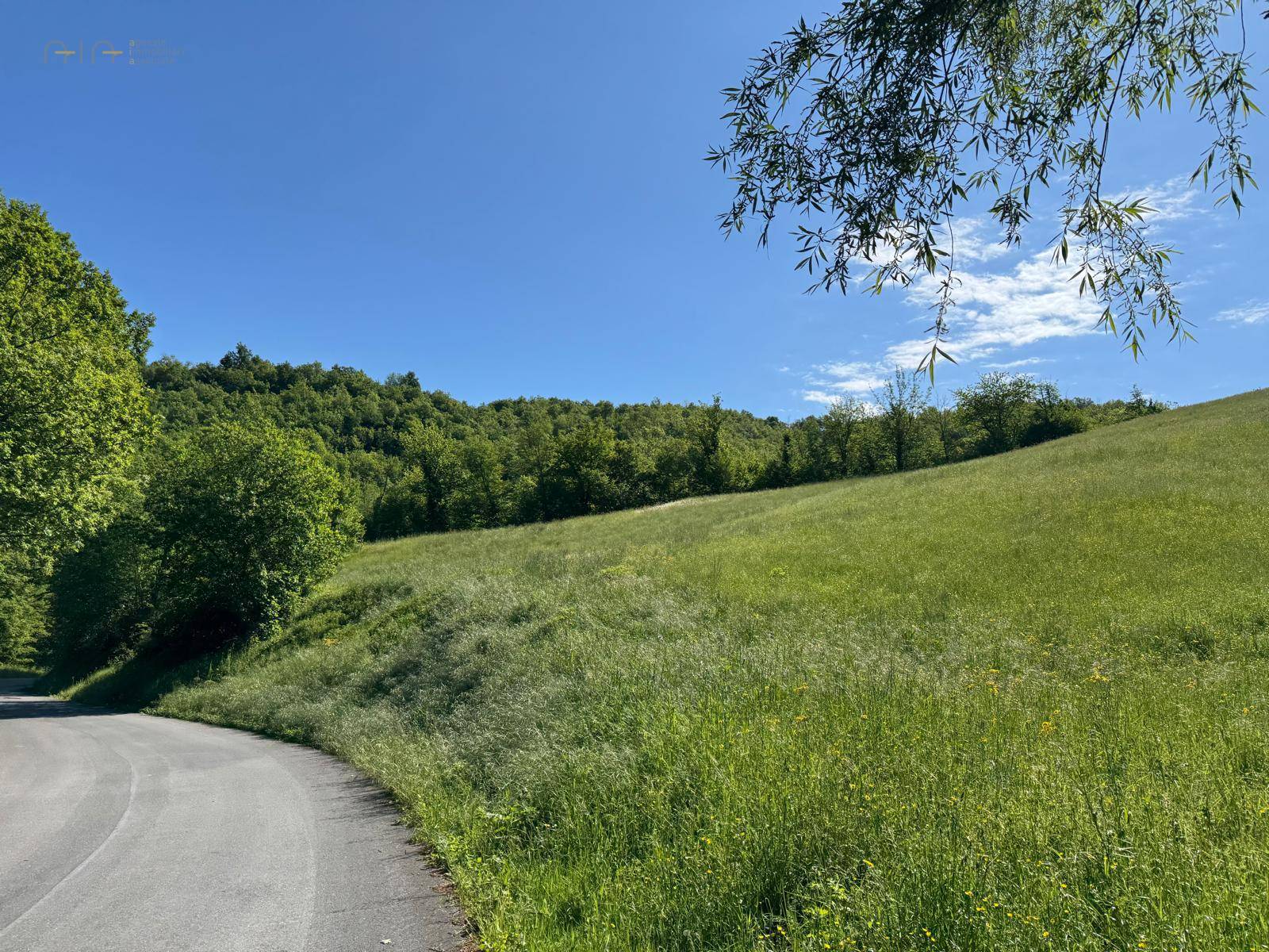 Terreno Agricolo in vendita a Montefortino, Montana