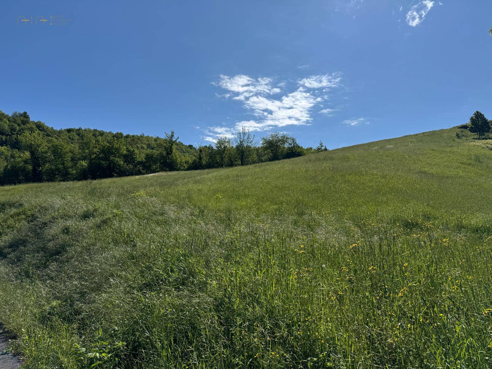 Terreno Agricolo in vendita a Montefortino, Montana