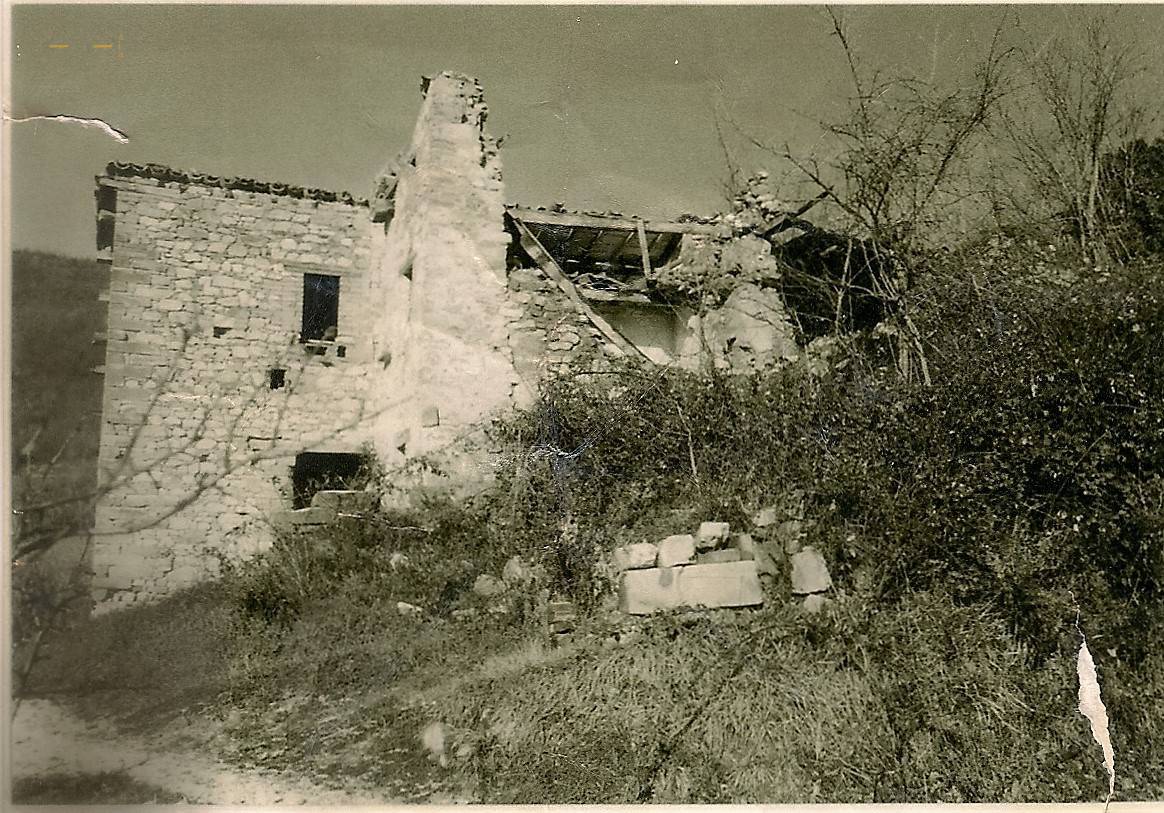 immagine annuncio 3 di 8