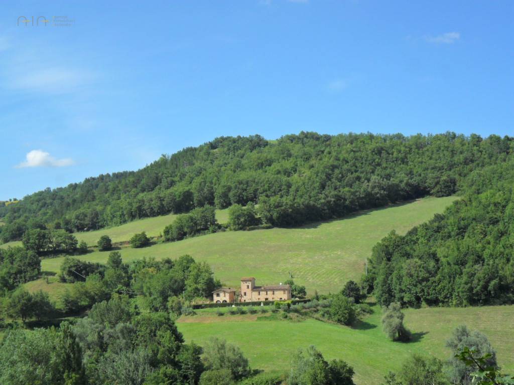 Terreno Agricolo (con / Senza Piccolo Prefabbricato) in vendita a Amandola, Collinare