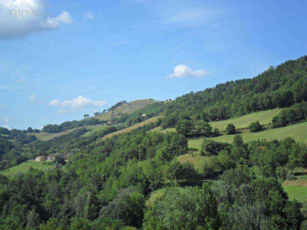 Terreno Agricolo (con / Senza Piccolo Prefabbricato) in vendita a Amandola, Collinare