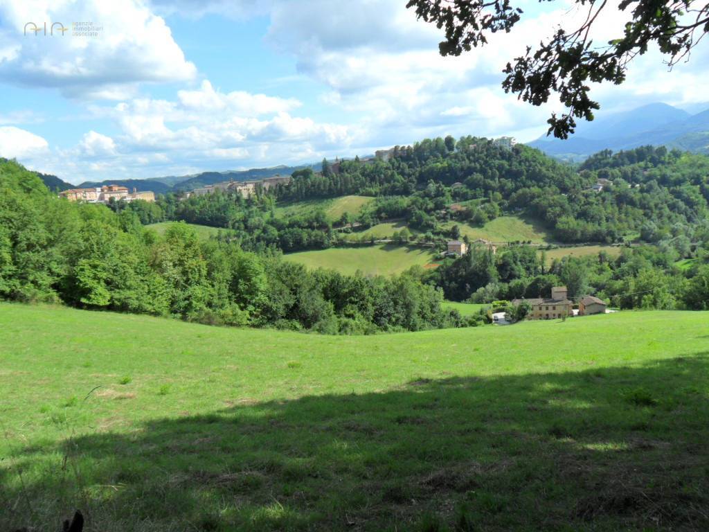 Terreno Agricolo (con / Senza Piccolo Prefabbricato) in vendita a Amandola, Collinare