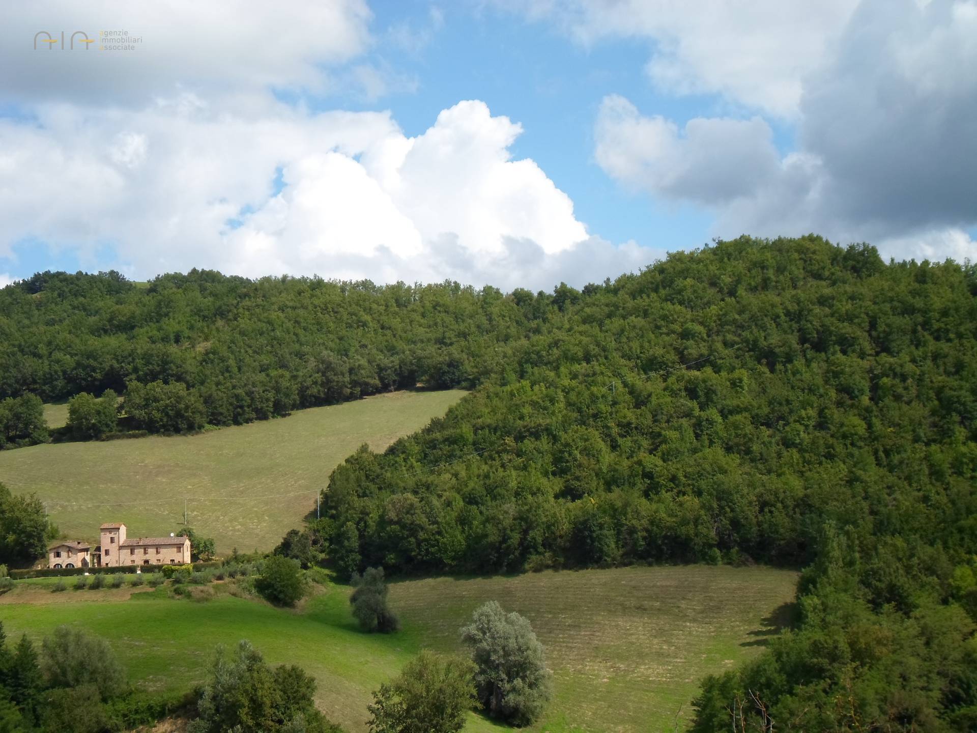 Terreno Agricolo (con / Senza Piccolo Prefabbricato) in vendita a Amandola, Collinare