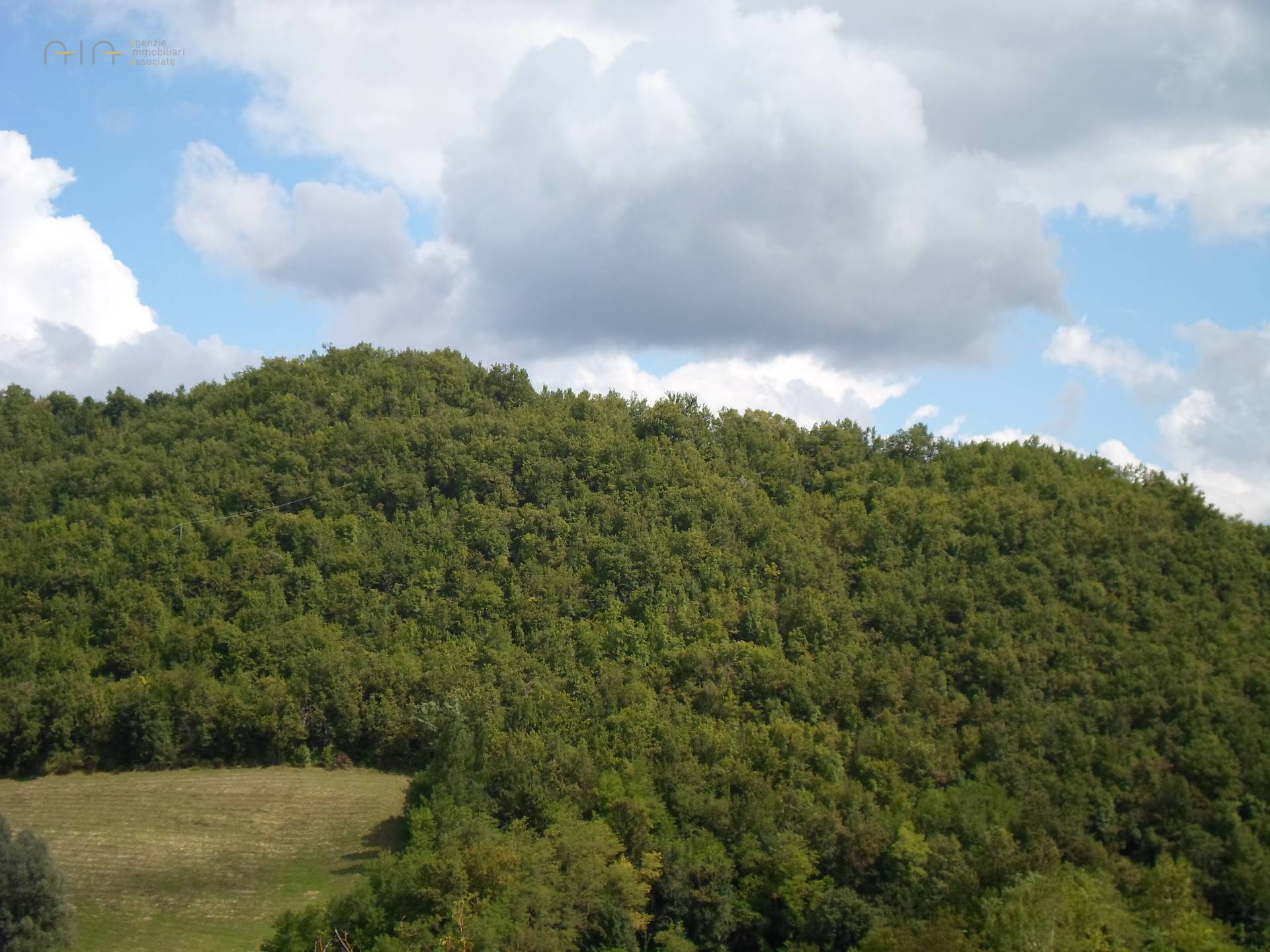 Terreno Agricolo (con / Senza Piccolo Prefabbricato) in vendita a Amandola, Collinare