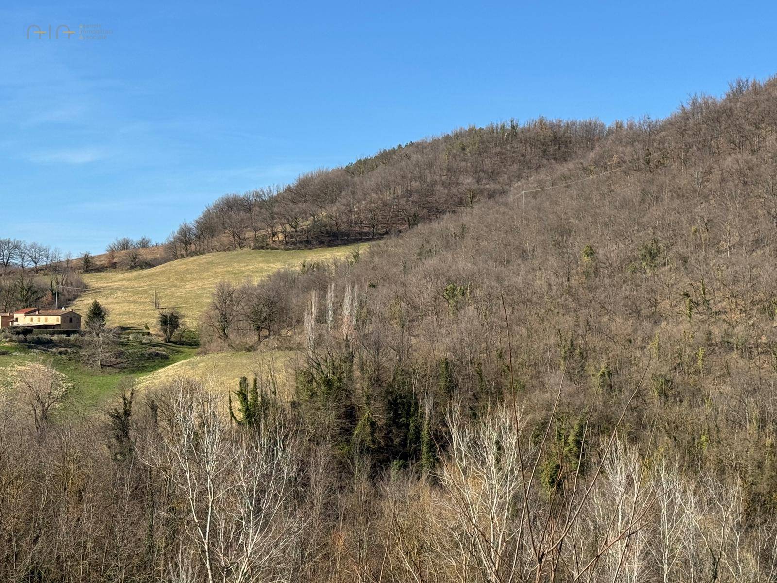 Terreno Agricolo (con / Senza Piccolo Prefabbricato) in vendita a Amandola, Collinare