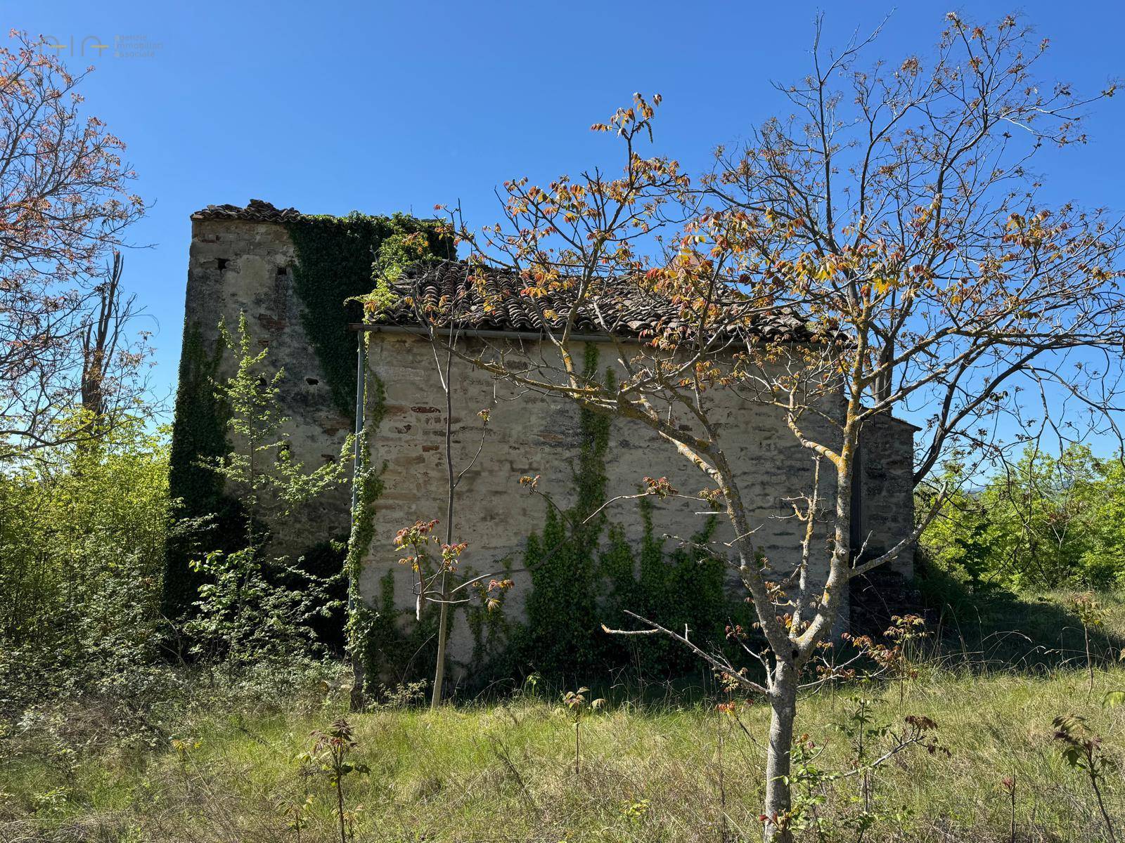 Casale Colonico Rustico in vendita a Montelparo, Collinare