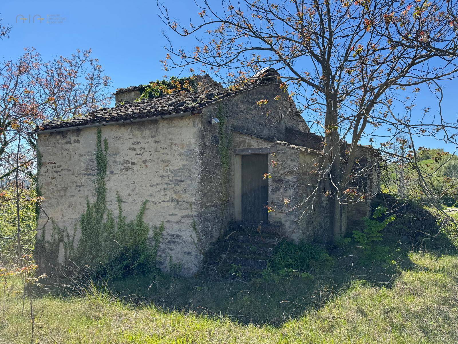 Casale Colonico Rustico in vendita a Montelparo, Collinare