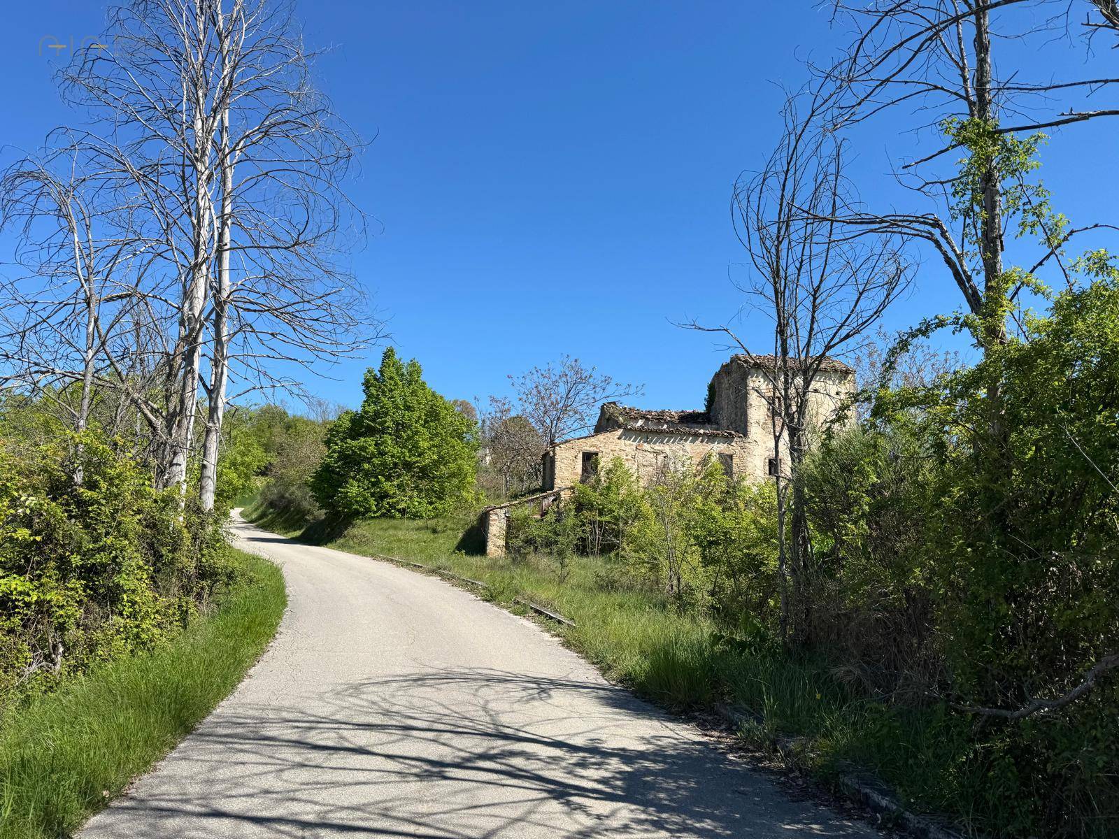 Casale Colonico Rustico in vendita a Montelparo, Collinare