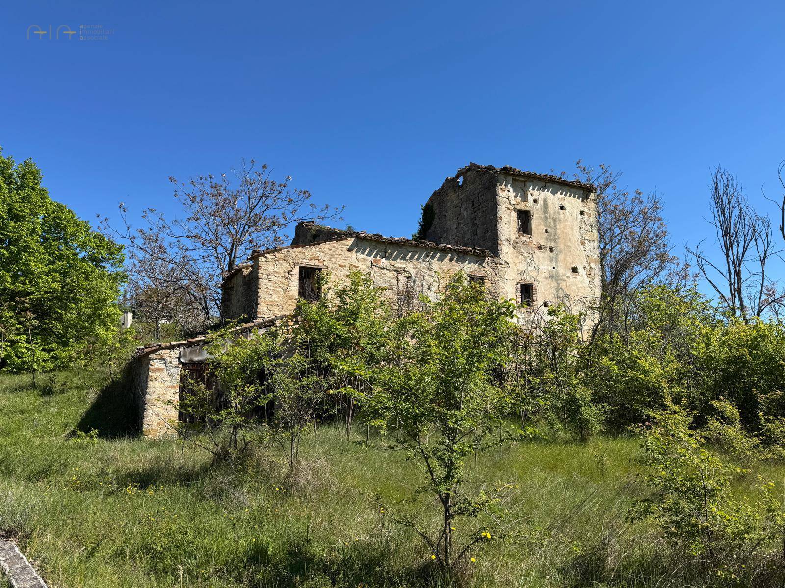 Casale Colonico Rustico in vendita a Montelparo, Collinare