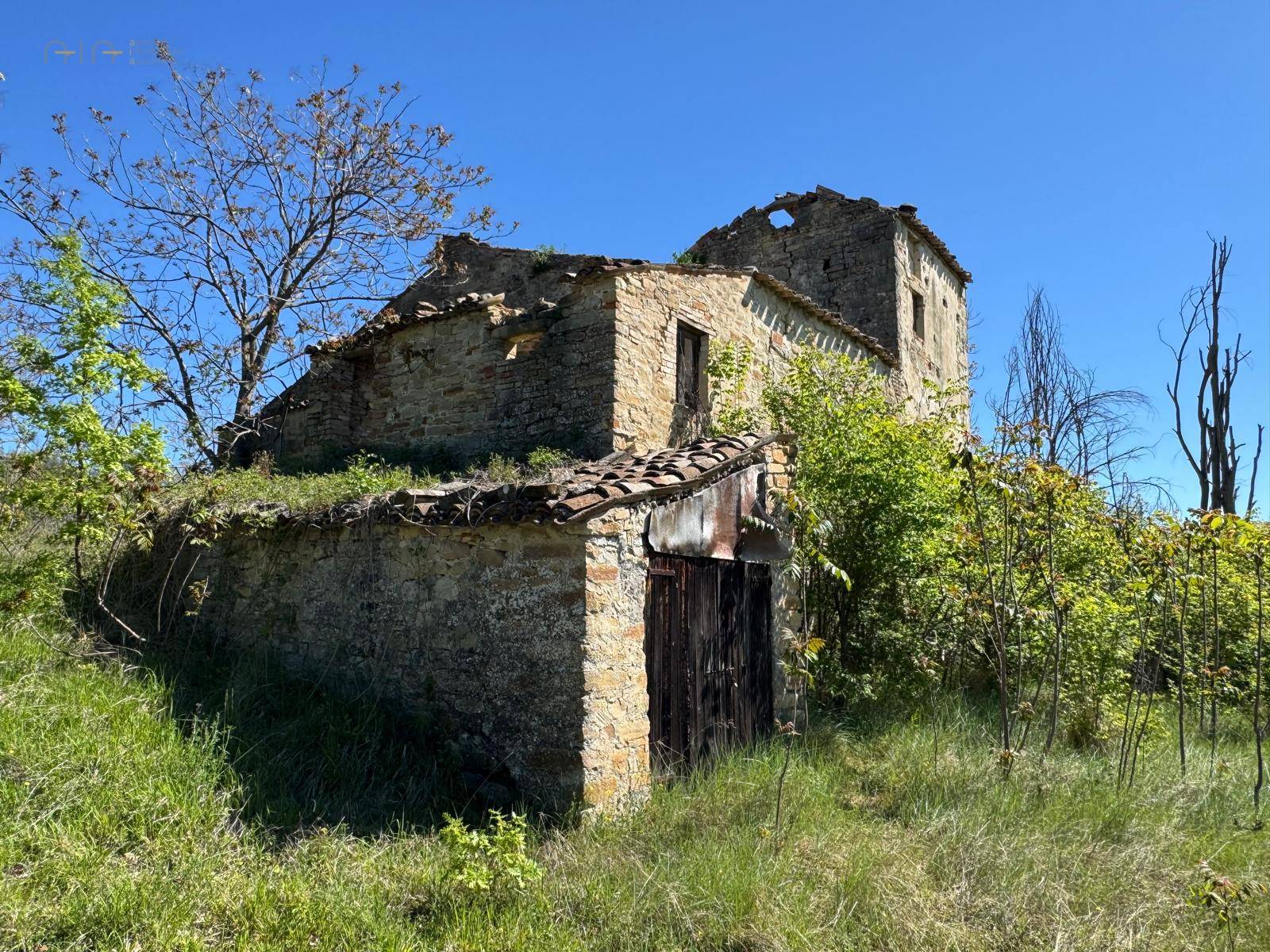 Casale Colonico Rustico in vendita a Montelparo, Collinare