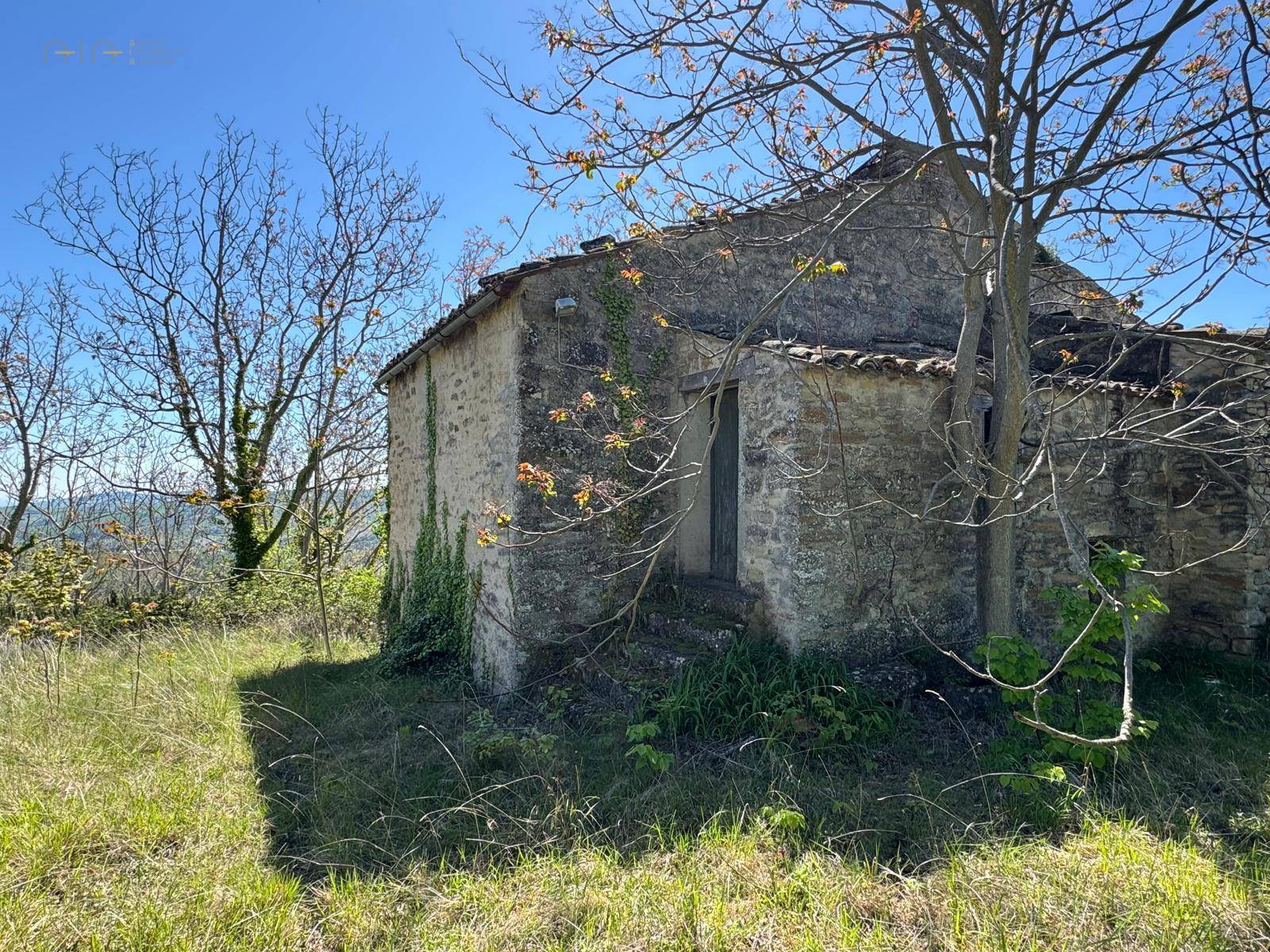 Casale Colonico Rustico in vendita a Montelparo, Collinare
