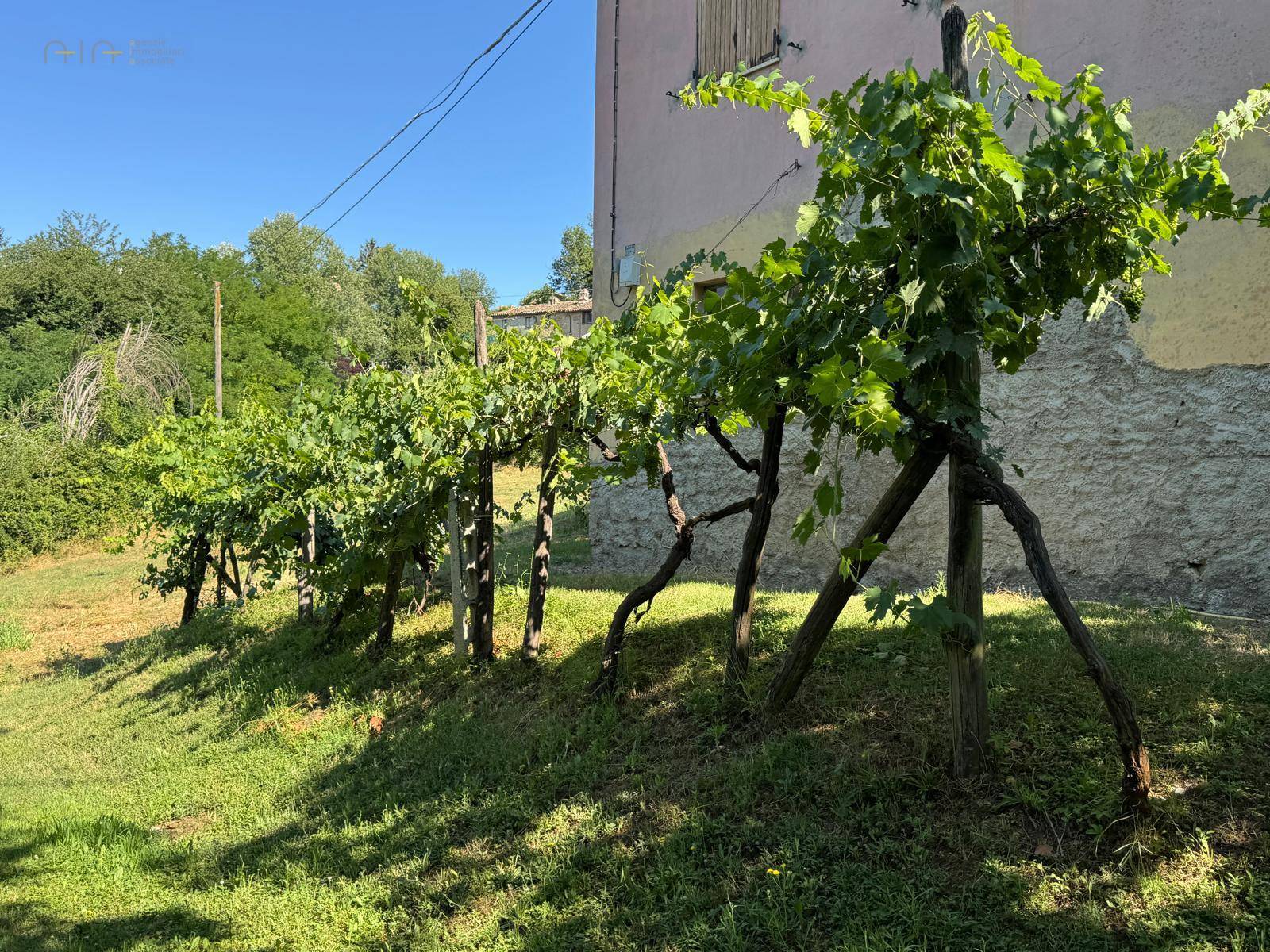 Casale Colonico Rustico in vendita a Amandola, Collinare