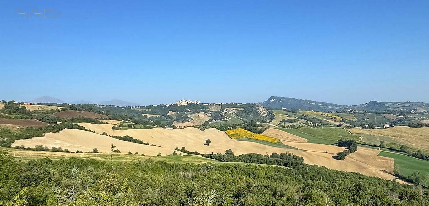 Terreno Agricolo (con / Senza Piccolo Prefabbricato) in vendita a Force, Bolognano