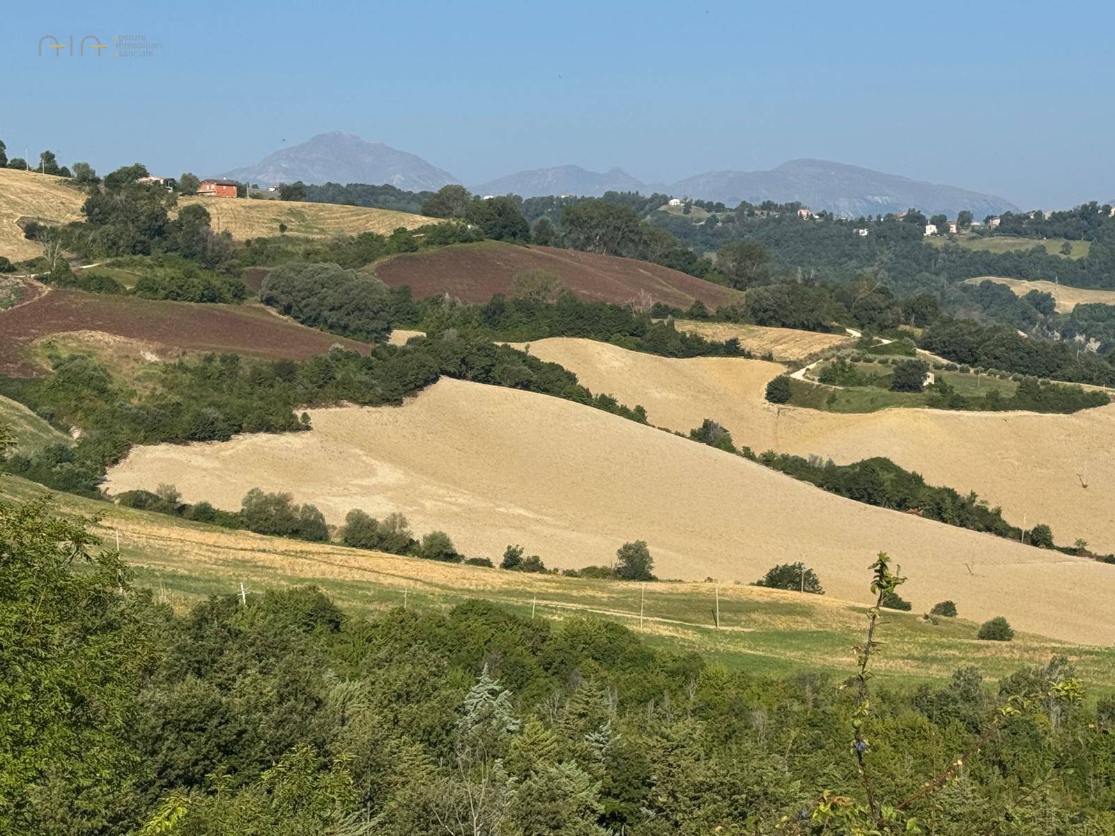 Terreno Agricolo (con / Senza Piccolo Prefabbricato) in vendita a Force, Bolognano