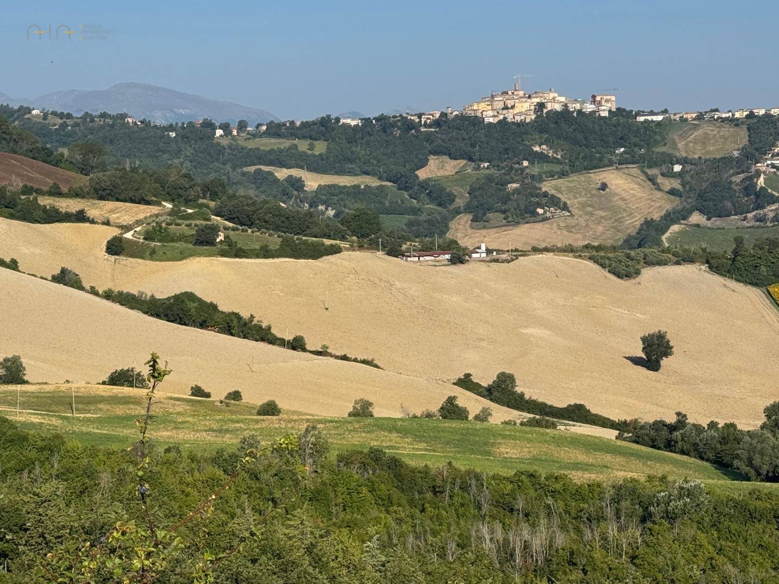 Terreno Agricolo (con / Senza Piccolo Prefabbricato) in vendita a Force, Bolognano