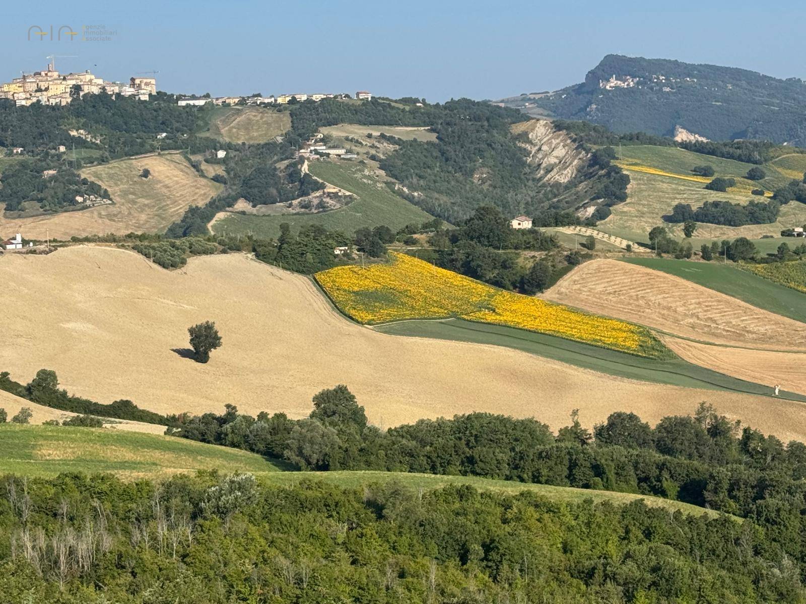 Terreno Agricolo (con / Senza Piccolo Prefabbricato) in vendita a Force, Bolognano