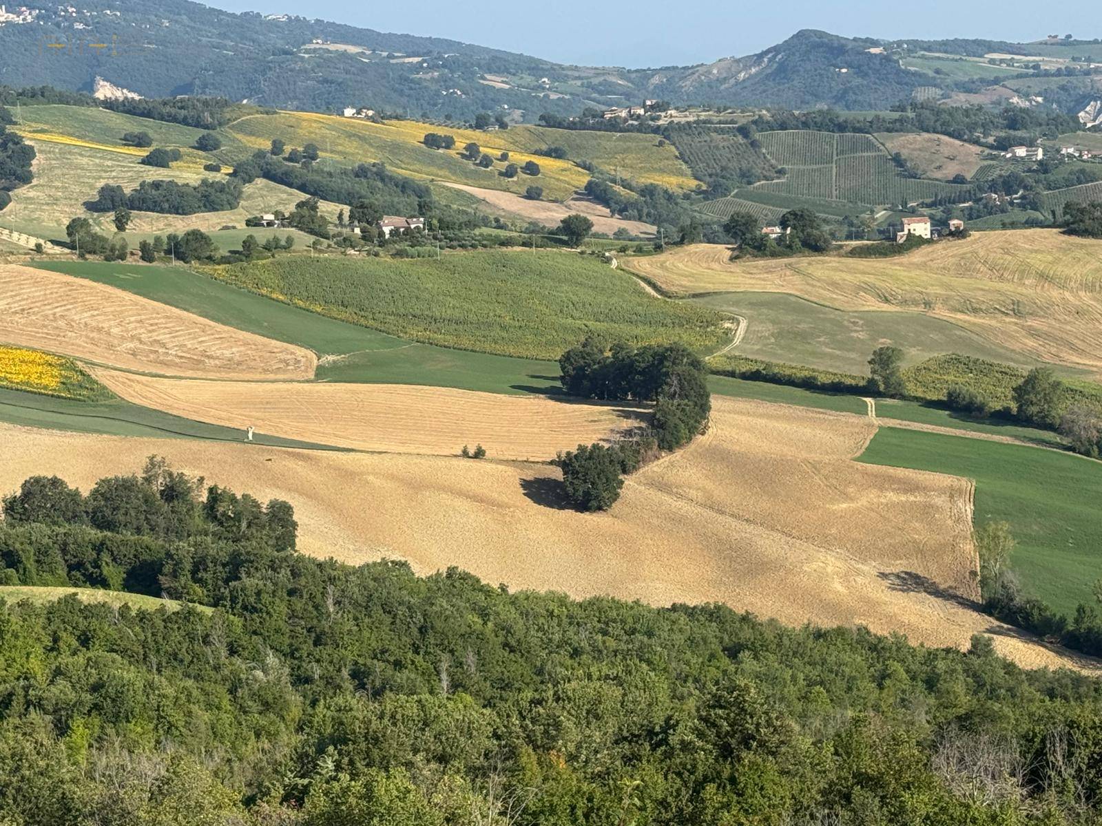 Terreno Agricolo (con / Senza Piccolo Prefabbricato) in vendita a Force, Bolognano