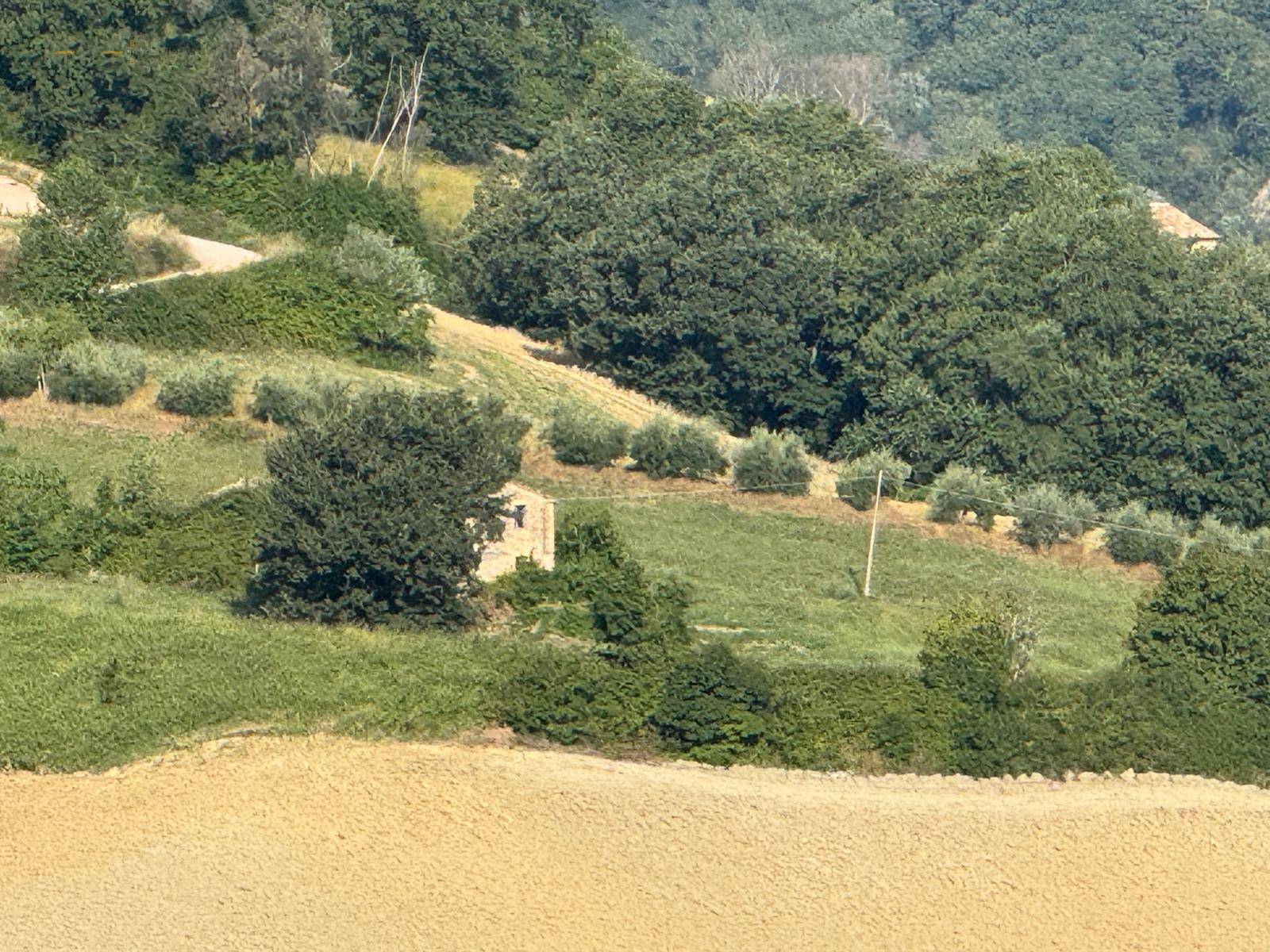 Terreno Agricolo (con / Senza Piccolo Prefabbricato) in vendita a Force, Bolognano