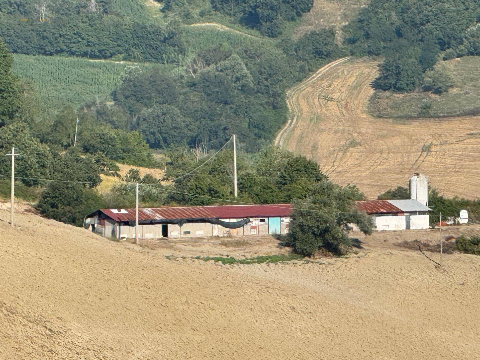 Terreno Agricolo (con / Senza Piccolo Prefabbricato) in vendita a Force, Bolognano