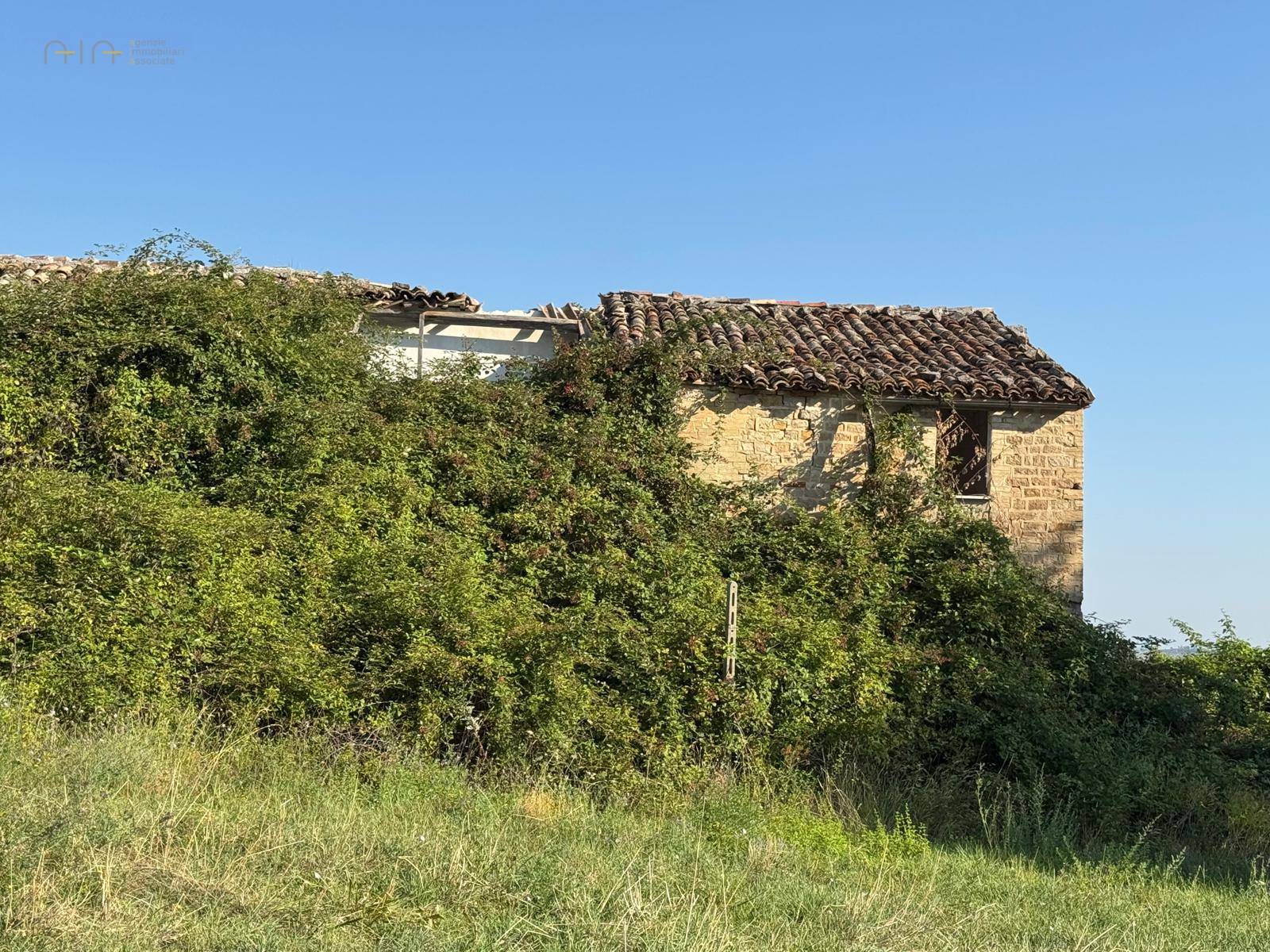 Terreno Agricolo (con / Senza Piccolo Prefabbricato) in vendita a Force, Bolognano