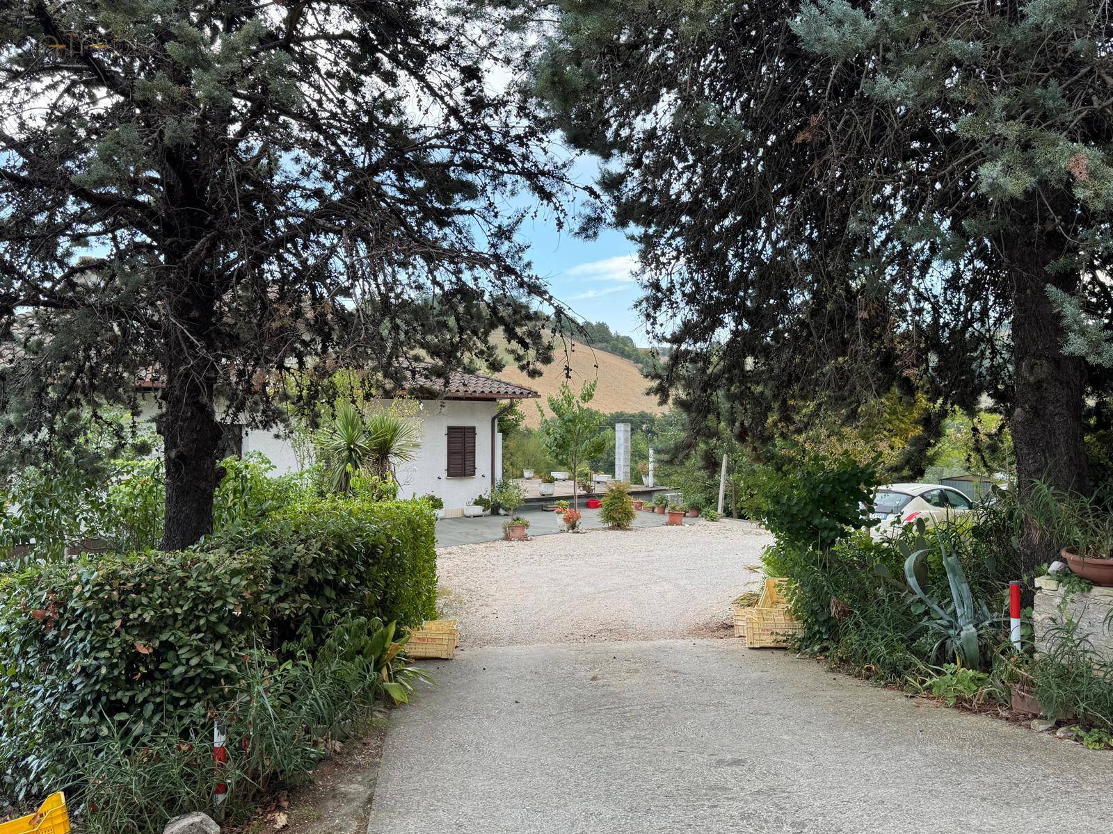 Casa cielo - terra in vendita a Montedinove, Collinare
