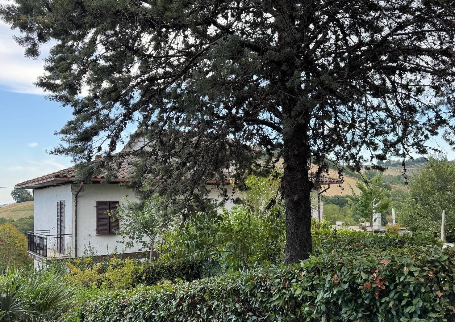 Casa cielo - terra in vendita a Montedinove, Collinare