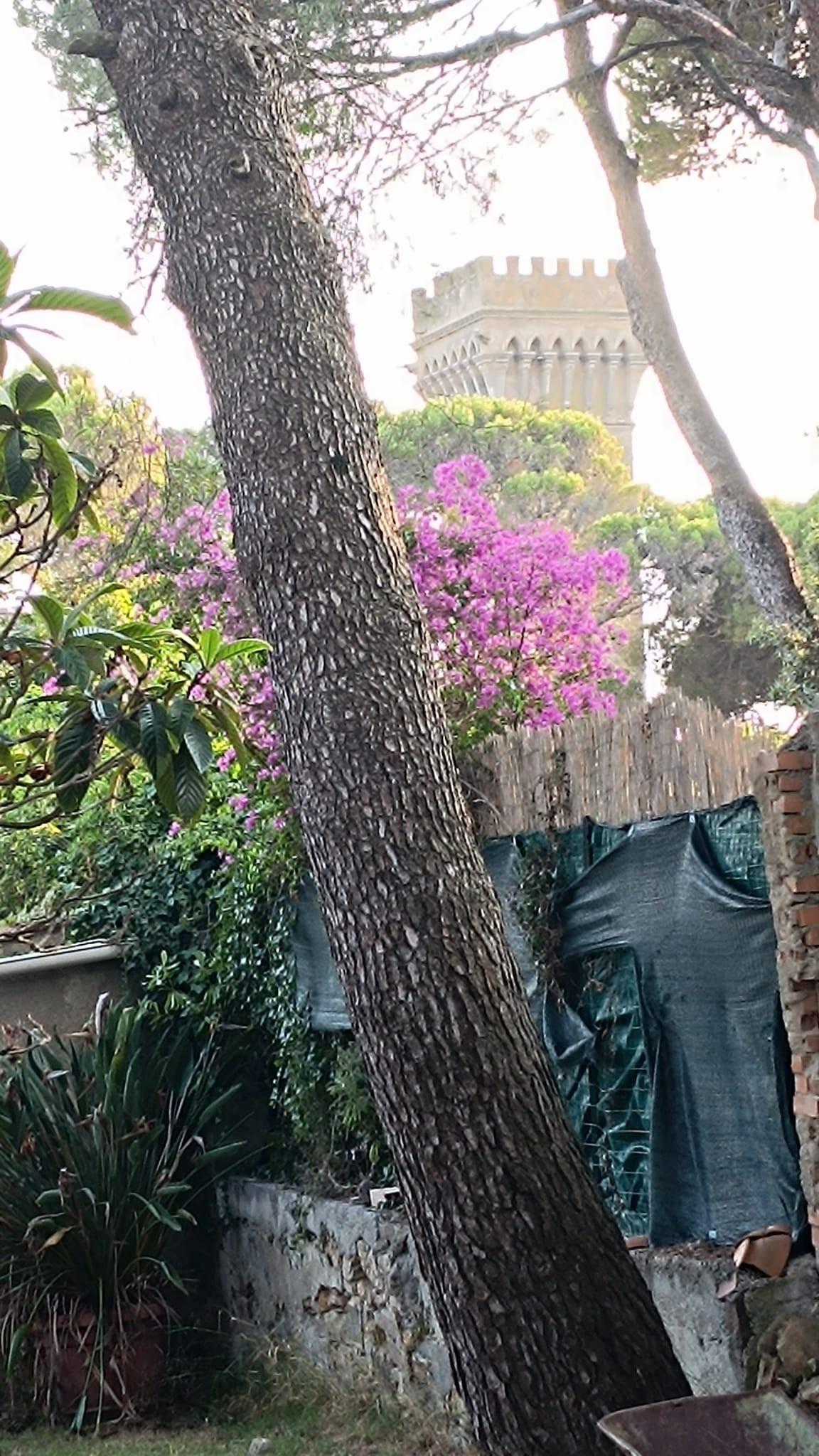 Casa indipendente con giardino, Livorno quercianella