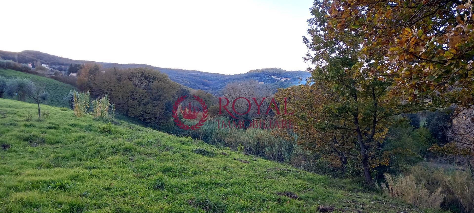 Terreno Agricolo in vendita a Rosignano Marittimo, Castelnuovo della Misericordia