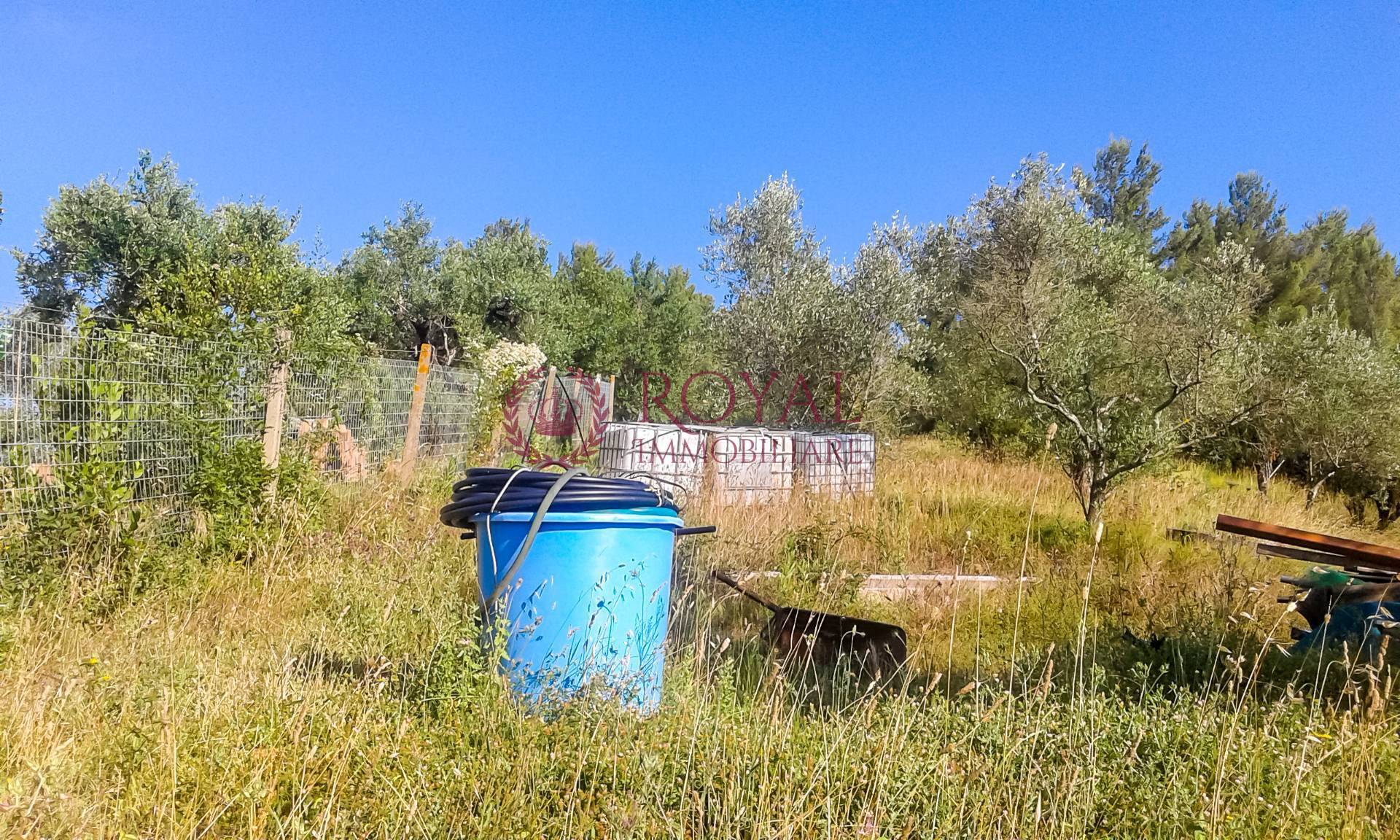Terreno Agricolo in vendita a Livorno, Leccia