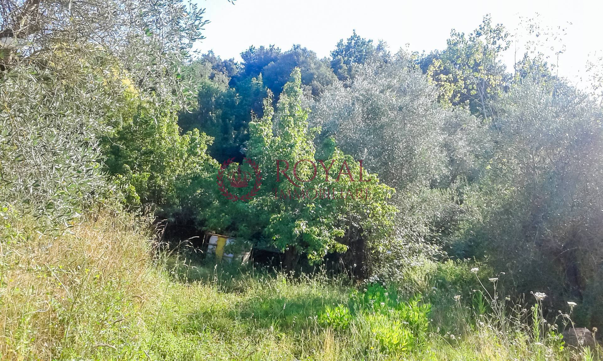 Terreno Agricolo in vendita a Livorno, Leccia