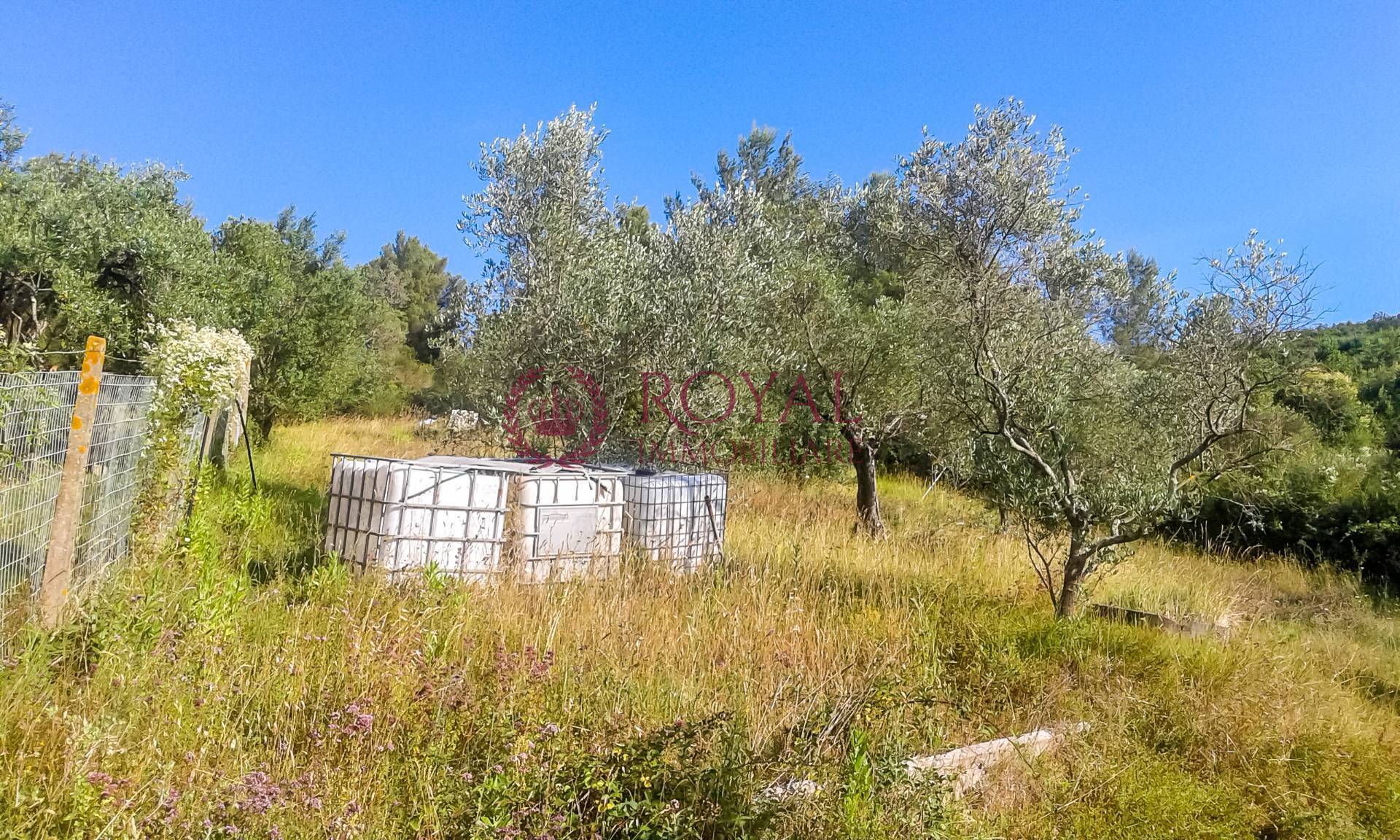 Terreno Agricolo in vendita a Livorno, Leccia