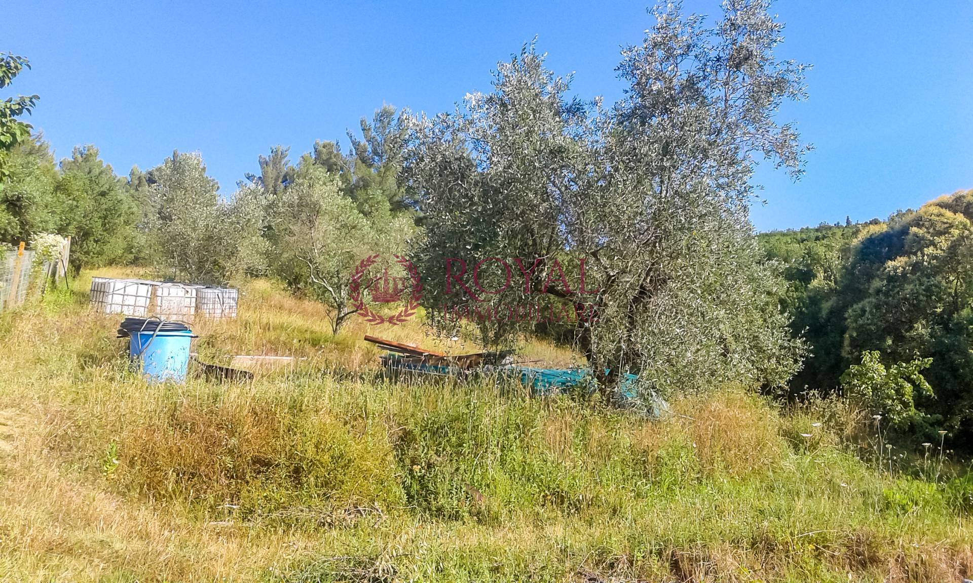 Terreno Agricolo in vendita a Livorno, Leccia