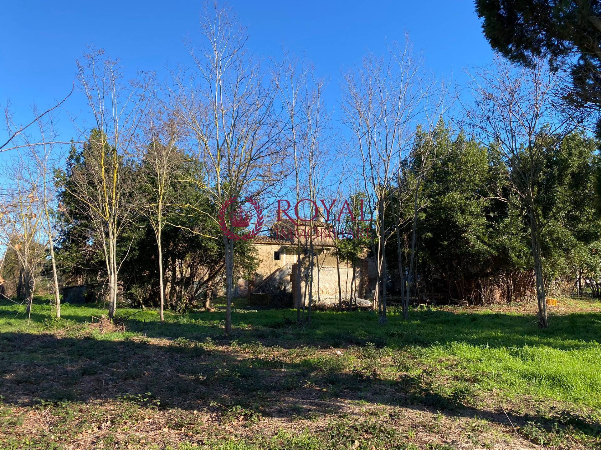 Casale in vendita a Rosignano Marittimo