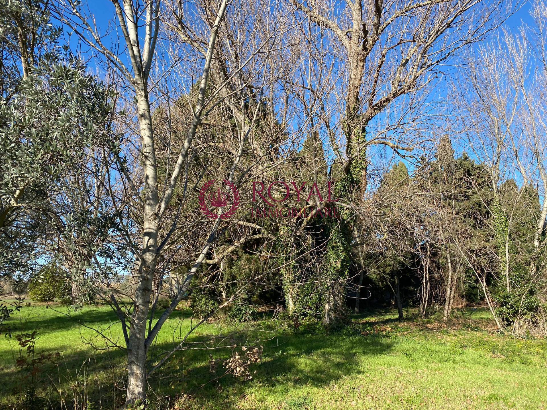 Casale in vendita a Rosignano Marittimo