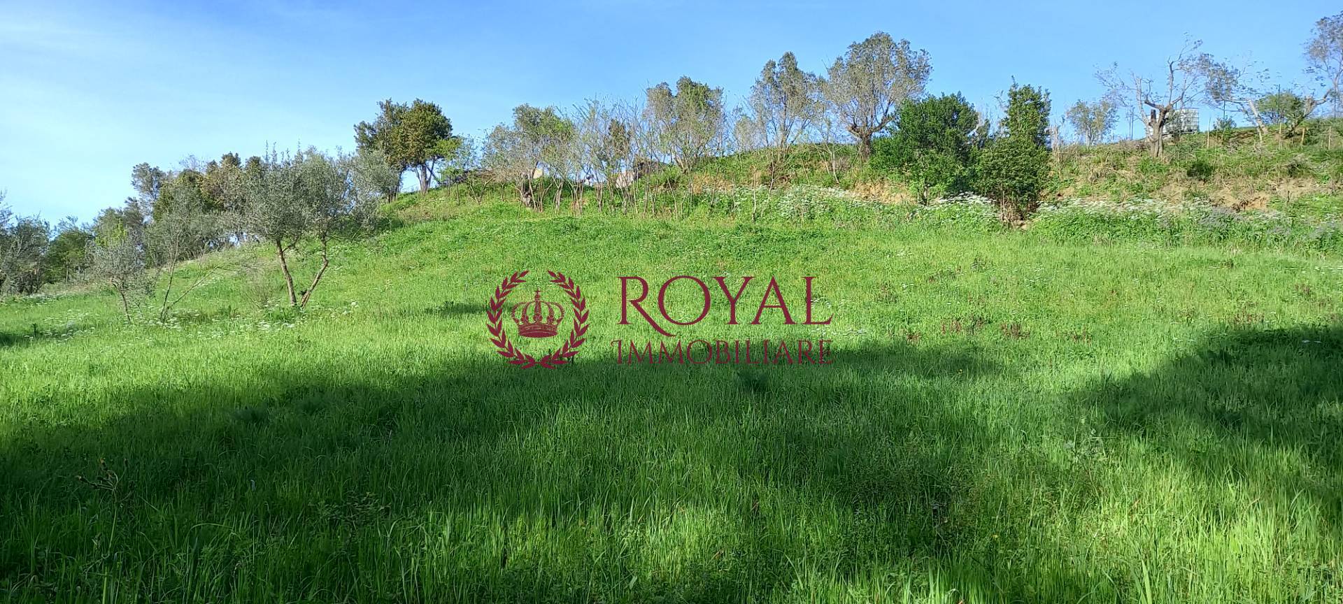 Terreno Agricolo in vendita a Livorno, Montenero