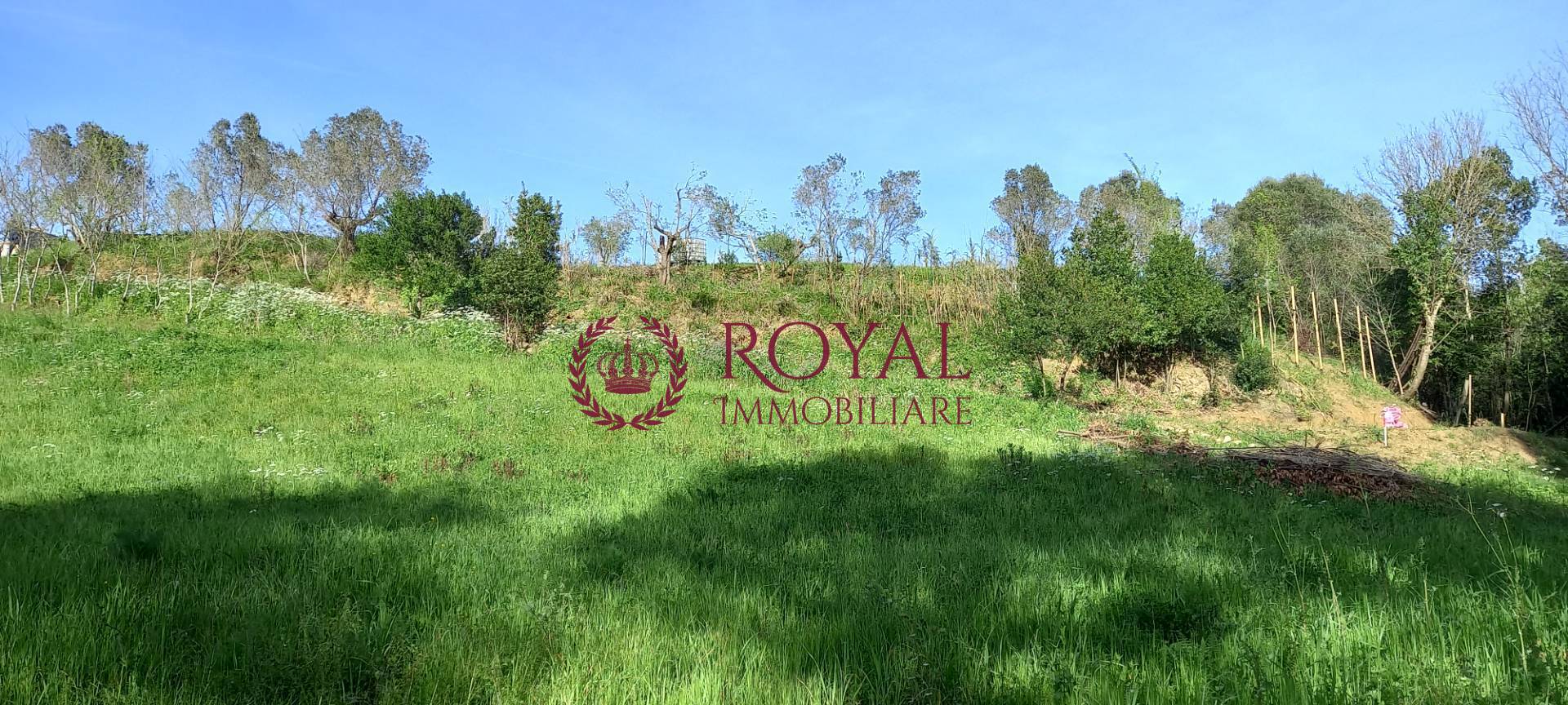 Terreno Agricolo in vendita a Livorno, Montenero