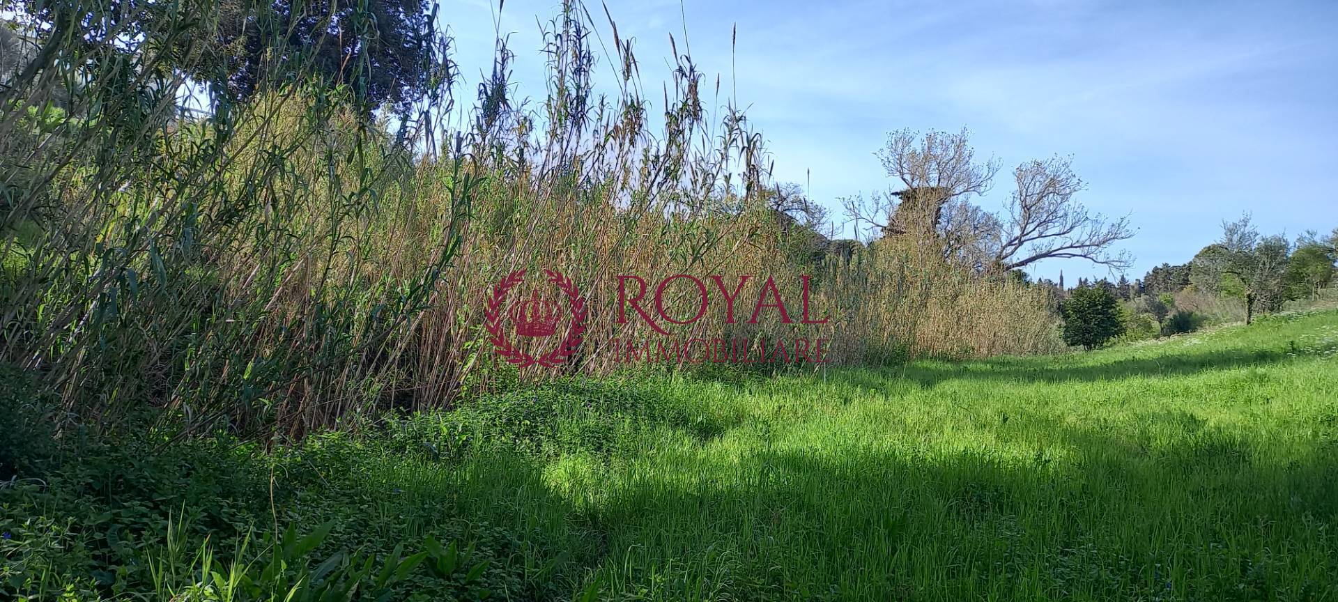 Terreno Agricolo in vendita a Livorno, Montenero