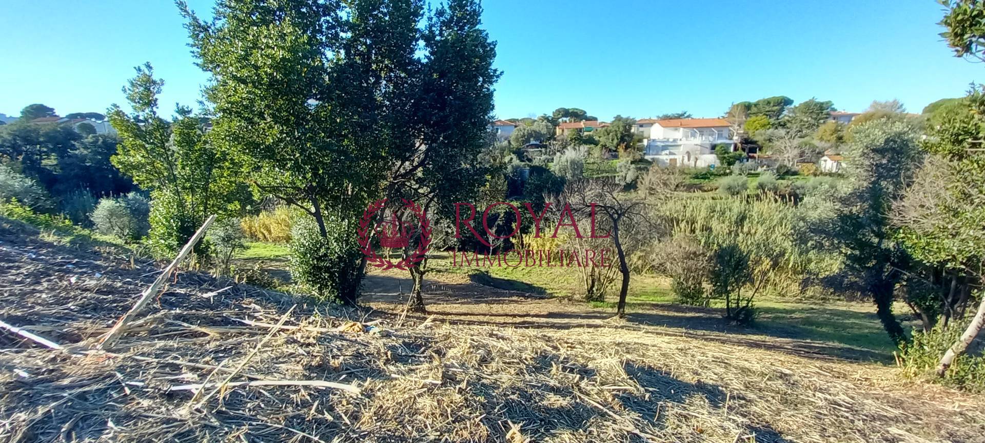 Terreno Agricolo in vendita a Livorno, Montenero