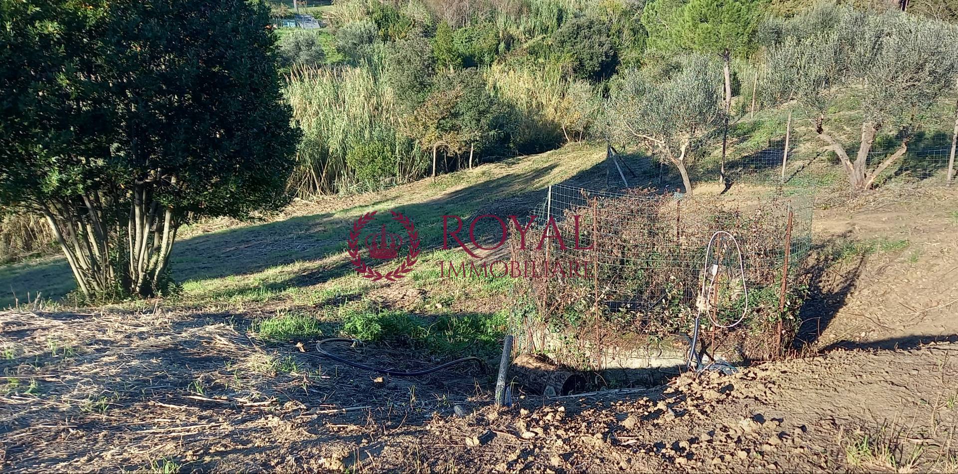 Terreno Agricolo in vendita a Livorno, Montenero