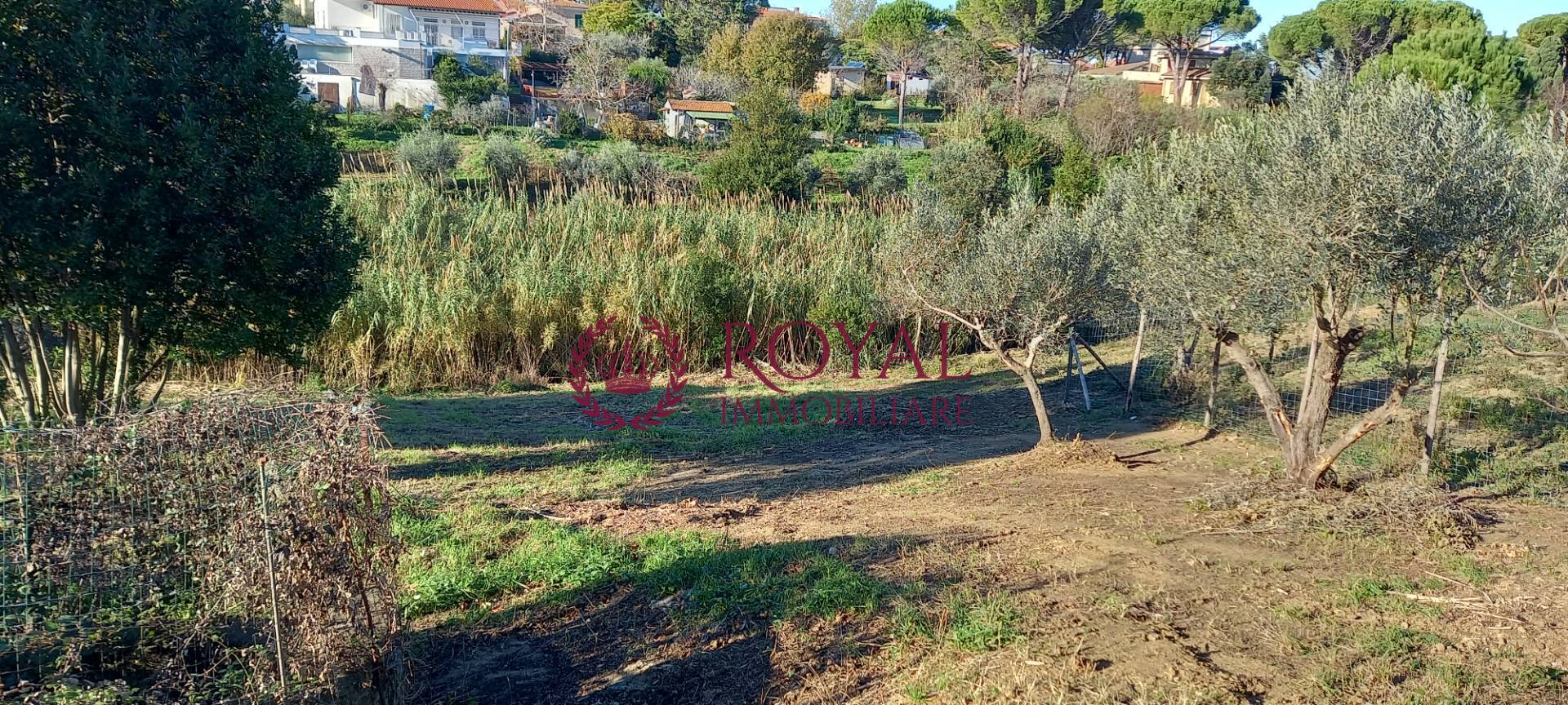 Terreno Agricolo in vendita a Livorno, Montenero