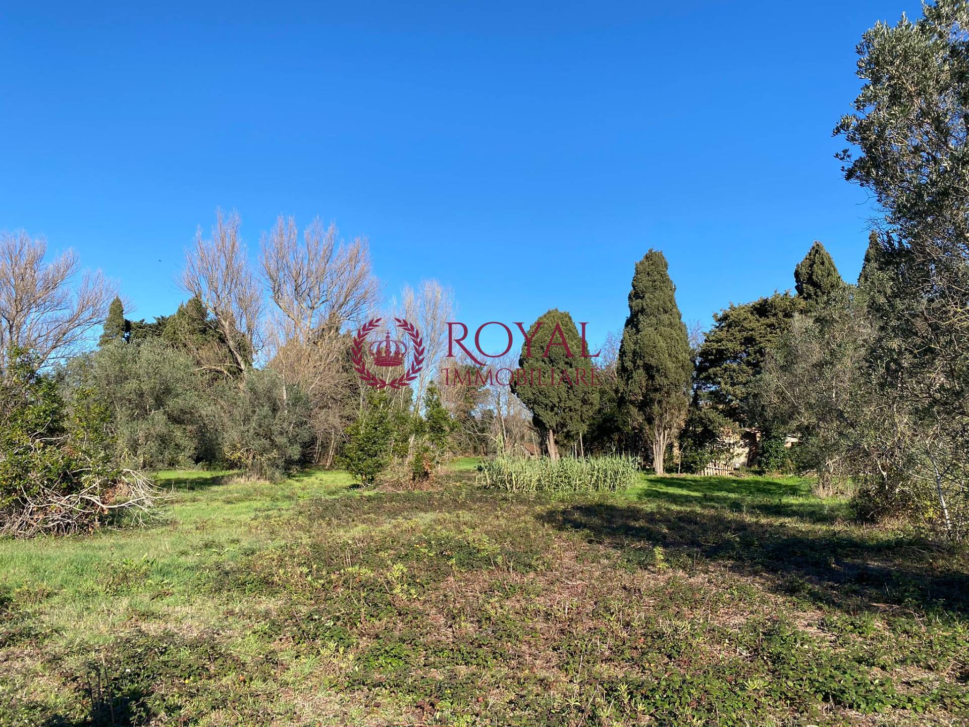 Casale in vendita a Rosignano Marittimo