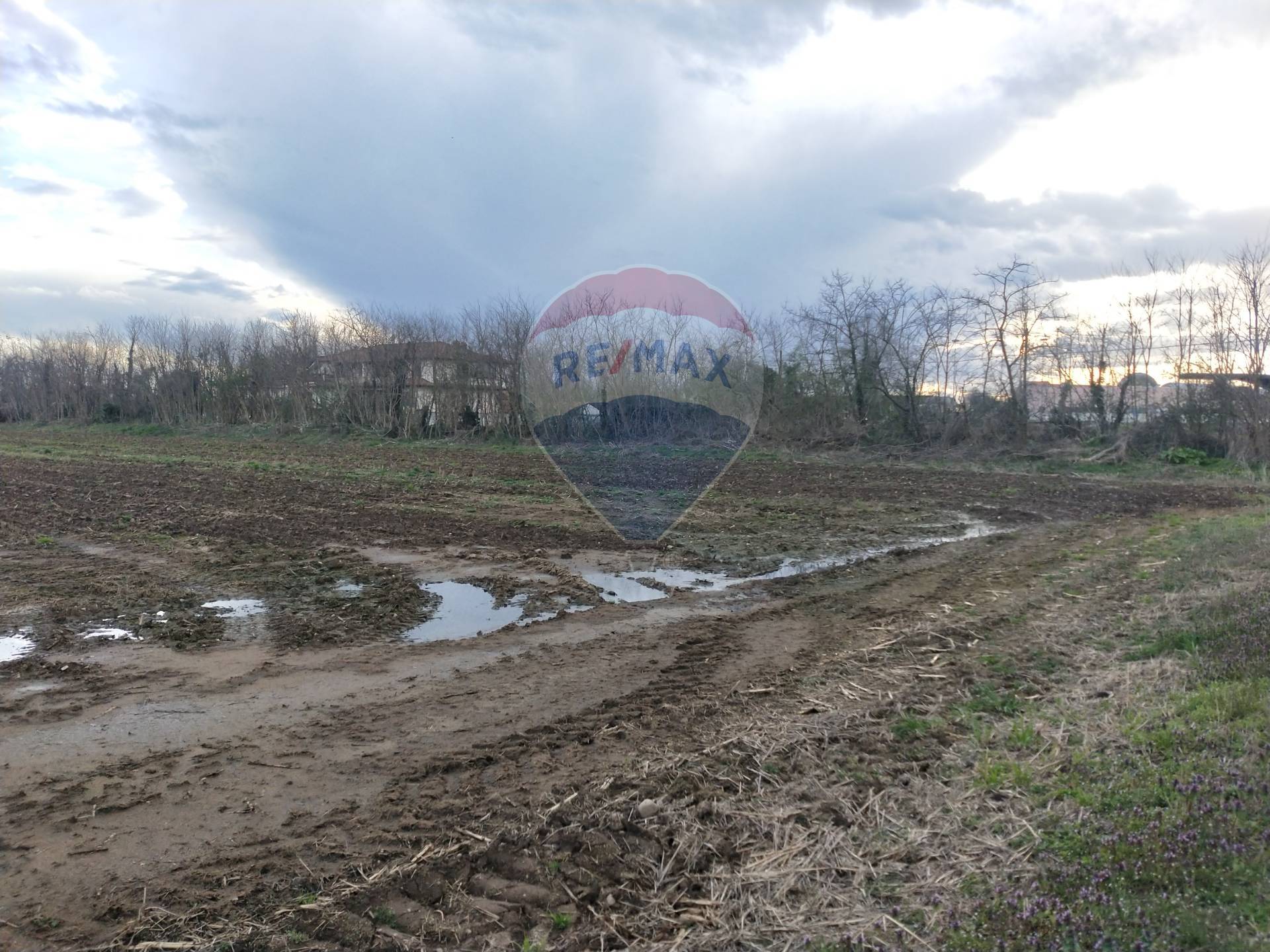 Terreno in vendita a Vittuone