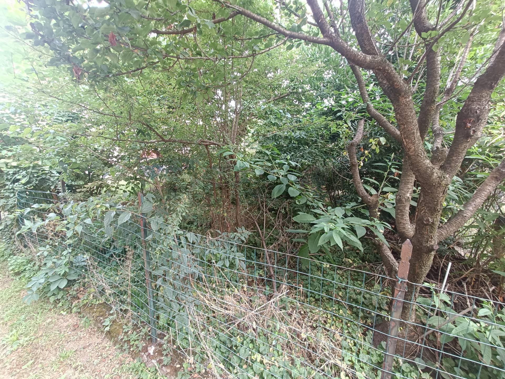 Rustico in vendita a Busto Garolfo