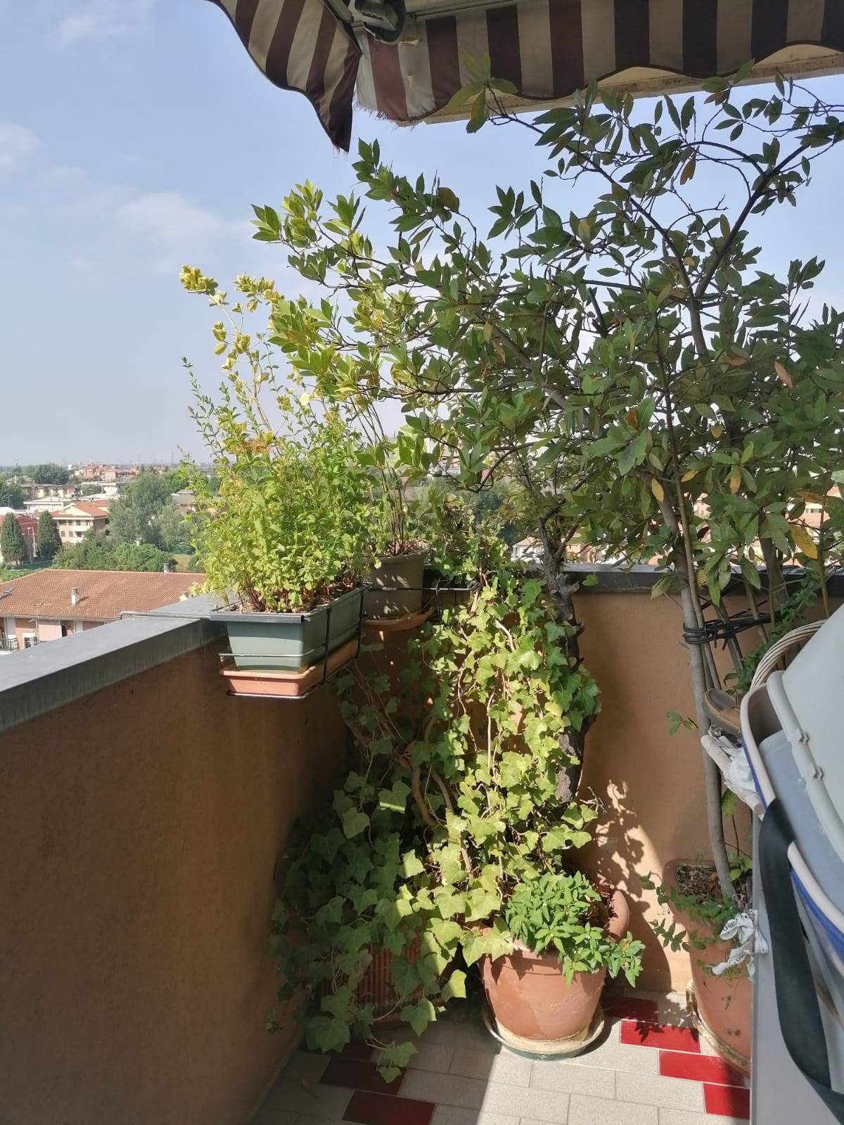 immagine annuncio 6 di 10